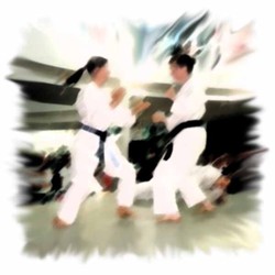 selbstverteidigungskurse - karate 