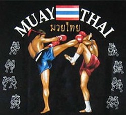 muaythai - kampfkunst - thaiboxen